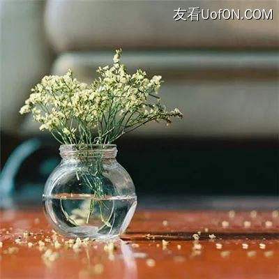 百度轩辕剑群侠录手游下载